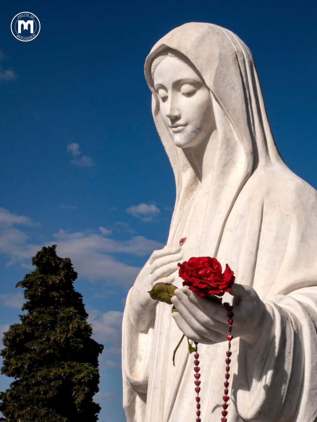 Papa Francesco e l’indulgenza plenaria a Medjugorje